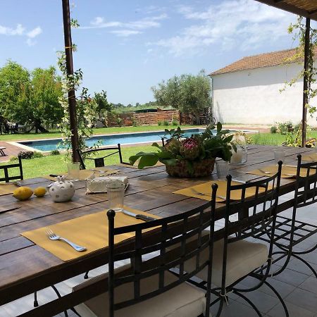 Villa Casa Agricola Scorziello à Serre  Extérieur photo