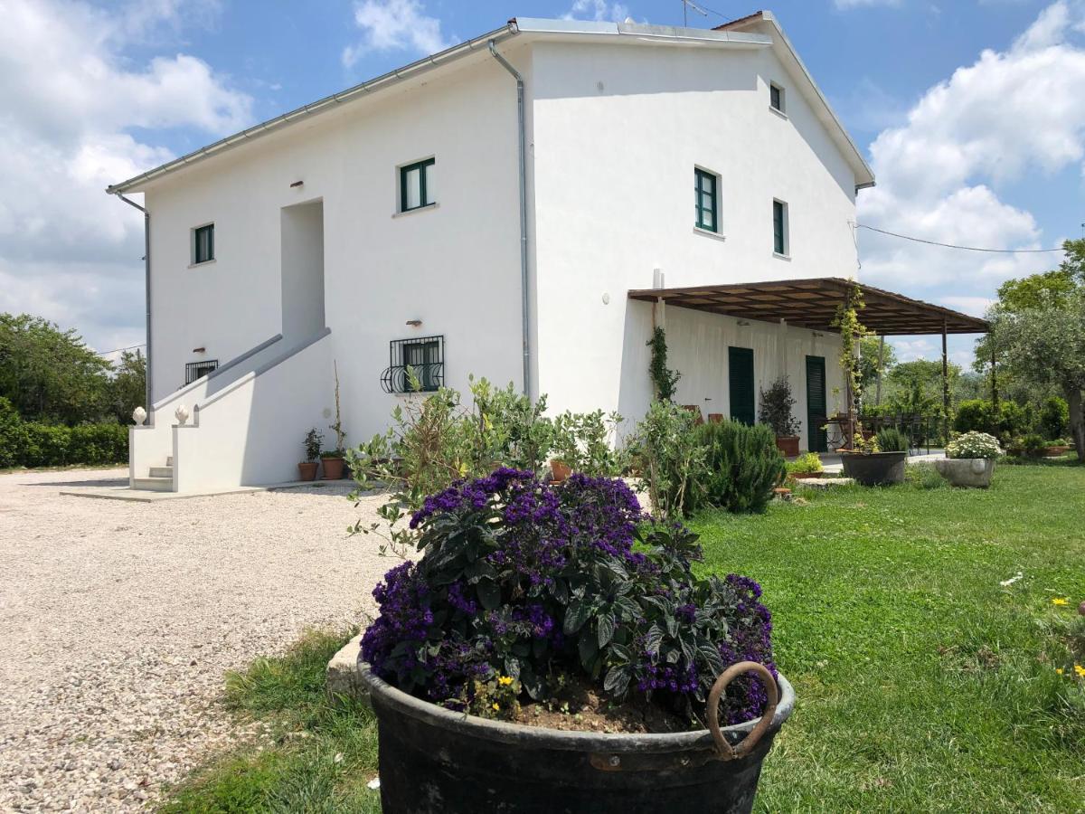 Villa Casa Agricola Scorziello à Serre  Extérieur photo